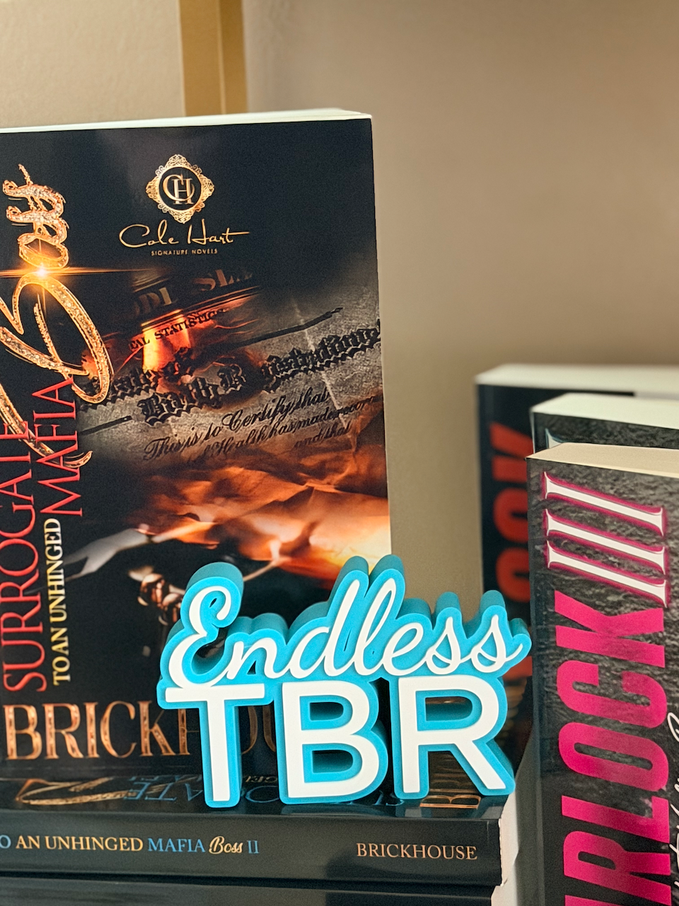 Endless TBR Shelf Sign
